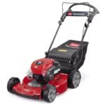 Toro Recycler Rasenmäher – Bild 2