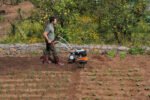 STIHL MH 685 Motorhacke – Bild 3